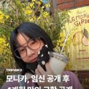 스타일후 이미지