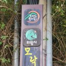 녹연주유소 Daum카페