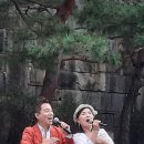벽천분수 Daum카페