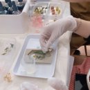 [복지관 직원 힐링 클래스 후기｜노인복지회관 단체 원데이클래스]용인 수지 분당 판교 비누공방