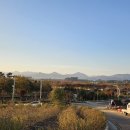 부안 줄포만 노을빛 정원 농구장 | 부안 줄포만 노을빛정원(구 줄포만 갯벌생태공원) 풍경과 갈대탐방로