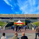 핏츠(PITS) 이미지