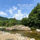 을수골별빛계곡 이미지
