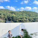 더맘키즈풀빌라B동