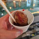JW메리어트제주 리조트앤스파(JW Marriott Jeju Resort & spa) | [제주]2월 제주 JW 매리어트 리조트 &amp; 스파 브런치로얄 아일랜드키친 수영장 캠프파이어 객실 후기