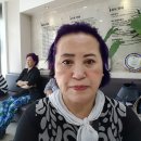 맘모스의원 이미지