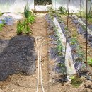 박곡농장 이미지