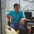 용일농장 Daum카페