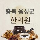 음성군 한의원 정보 및 후기 총정리
