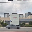 늘푸른셀프세차장 | 부모님 건강과 기력 회복을 위해 정성 가득한 흑염소탕 포장 후기[흑궁흑염소]