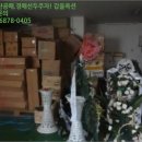 회성동287 이미지