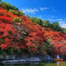 철암장터 이미지