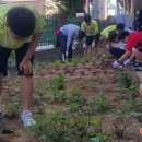 아산중학교 이미지