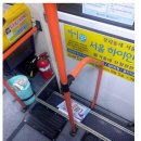 피자버스 이미지