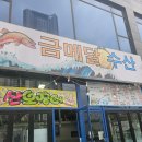 감성산오징어 | ​[동탄 맛집] 드디어 산오징어 개시! 야장 감성 폭발하는 동탄 '금메달 수산' 솔직 후기
