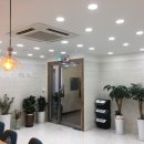 코코스(Cocos) 이미지