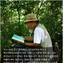 낙성초등학교 이미지