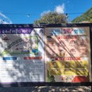 숲속에 머물다 이미지