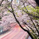 능동로R 이미지