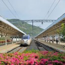 경전여객주식회사 이미지