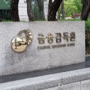 금융감독원 이미지