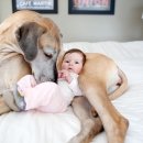 라라동물의료원 이미지