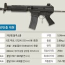 2013년 5월 31일 제52사단 여군 홍대위 총기 의문의 사망 이미지
