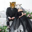 로켓케이크 | 웨딩 스냅 촬영 소품 쿠팡 로켓 배송 내돈내산 후기