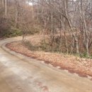 회남재길 이미지