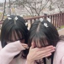 닥스 종합 | [4월 일상] 햄부기 햄북닥스 넘 행복 햄북쓰 홍홍이 일상 기록