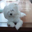 그래요