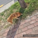 선샤인 동물병원 이미지