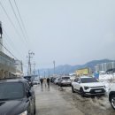 다미가든 이미지