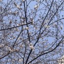 강생이네 | [출산기록] 제왕절개 수술 입원 후기
