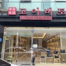 고이비토광주 - 동구 독립로264번길 4-1 | 광주 롤렉스시계 쇼핑은 광주중고명품매장 고이비토 광주롯데점