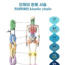 키네틱 피티 스튜디오 | 일산재활PT 일산재활 일산재활운동 발목재활 발목골절 일산재활트레이닝
