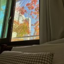 루미나르피부과의원 이미지