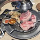 중문대포주상절리대 이미지