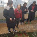 양지영농장 이미지