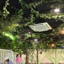 검단어린이도서관(6) | 달성 어린이숲도서관 6살 아이와 함께한 대만족 후기