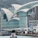 자갈치수산 이미지