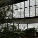 카페멍날 이미지