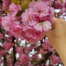 봉곡남로-8 이미지