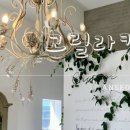 고릴라킹덤 이미지