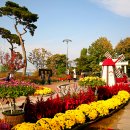 화원유원지 이미지