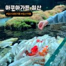 일중로L | 일산 가볼만한 곳 대형카페 아쿠아리움 먹이체험 아쿠아가든