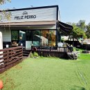 펠리스뻬로 이미지