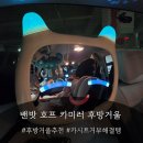 유연호프 | 아기 카시트거부 극복 꿀템! 밴밧 호프 카미러 카시트후방거울 찐 사용 후기