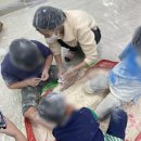 더푸름아동발달연구소 이미지