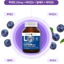 바이탈랩